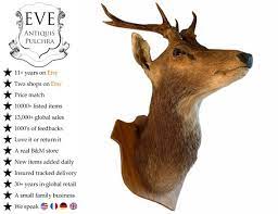 Vintage French Mounted Deer Stag Head