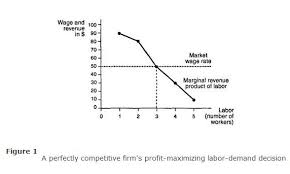 Labor Demand And Supply In A Perfectly Competitive Market