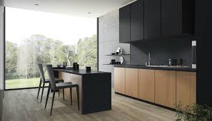 Black Granite Countertops Bold Kitchen