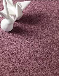 purple carpets carpets flooring