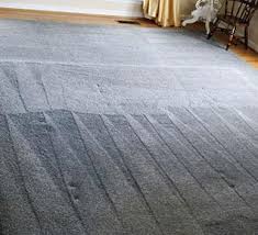 carpet cleaning rug and upholstery in