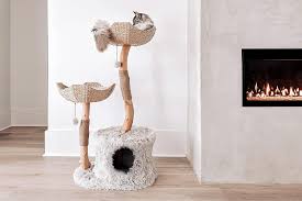 the 10 best cat trees of 2024