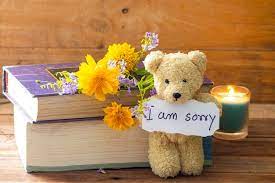 i am sorry message card with teddy bear