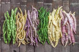 15 of the best types of pole beans