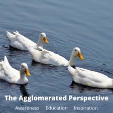 The Agglomerated Perspective Podcast