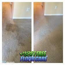 carpet cleaning service spot free