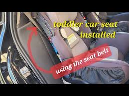 Seat Belt Safety 1st Alpha Omega