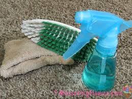 how to naturally clean vomit off carpet