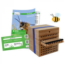 Breeding Kit Wild Bees With Cocoons