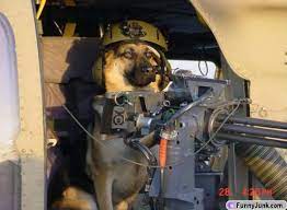 Puppies with guns, we're just that. 37 Dogs With Guns Ideas Dogs Funny Animals Military Working Dogs