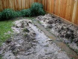 3 Backyard Drainage Solutions For Your