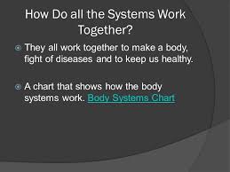 By Zachery Limer The Body Systems Ppt Video Online Download