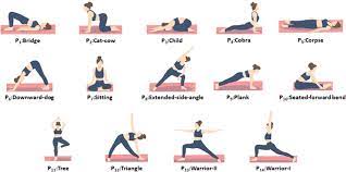 sle of 14 diffe yoga postures
