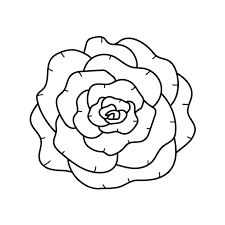 white rose doodle flower isolated