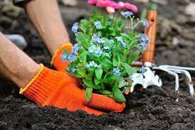 Gardening Tips For Spring St Francis