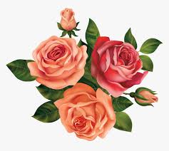 191964 total views 10 views today. Drawing Rose Beautiful Flower Beautiful Flower Rose Drawing Hd Png Download Kindpng
