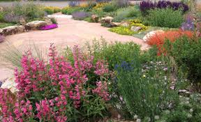 How To Drought Tolerant Gardens