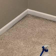 top 10 best carpet cleaning services in