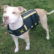 Xdog Weight Fitness Vest For Dogs Help Improve Overall