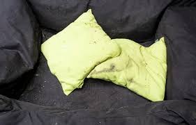 how to clean a dog bed