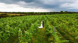 vineyard marquee wedding venue in