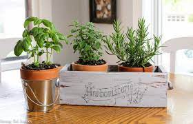 Diy Indoor Herb Garden Planter Box