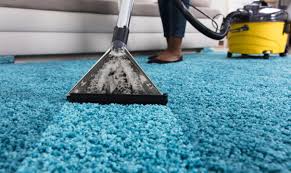 carpet cleaning pure steam cleaning