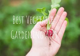 Best Vegetable Gardening Apps For 2022