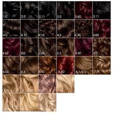 28 Albums Of Garnier Olia Hair Color Chart Explore