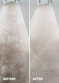 1 for carpet cleaning in georgetown ky