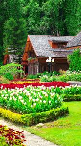 houses with beautiful flower gardens