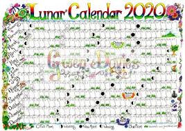 2020 A3 Lunar Moon Calendar Hand Drawn Gardening Astrology