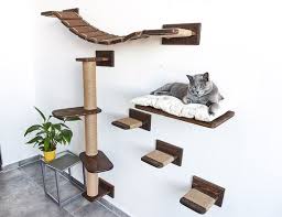 Cat Shelves For Climbing Cat Wall