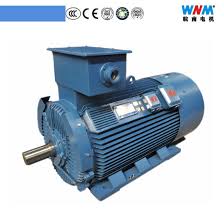 Wnm Brand Three Phase High Power Low Voltage Compact 450kw Electric Motor Frame Size 400mm 450mm Voltage 380v 660v Poles 2 4 6 8 Frequency 50
