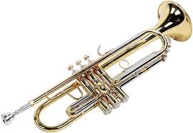 Trompeta De Latón, Trompeta Profesional Para Instrumentos Musicales Con Kit De Accesorios Para La Escuela En Casa