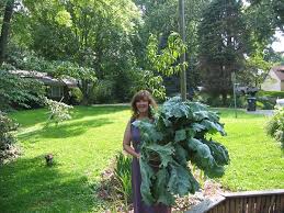 Organic Vegetable Garden