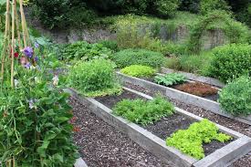 Raised Bed Soil Vs Garden Soil