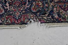 dog chewed hole in rug before and