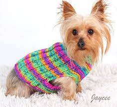 Small Dog Sweaters You Can Knit In A
