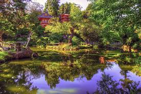 Japanese Garden Summer Temple Zen