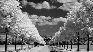 70 hd black and white wallpapers for