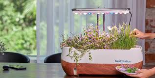 Simple Indoor Garden Ideas For Cozy