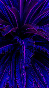 Maybe you would like to learn more about one of these? Neon Purple Wallpapers Top Free Neon Purple Backgrounds Wallpaperaccess