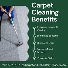 carpet cleaning in mercer county