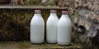 fresh milk delivered in glass bottles