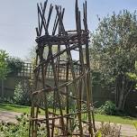 Willow plant supports and obelisks workshop