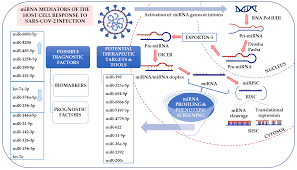 Gsk sotrovimab (eua may 26, 2021) roche tocilizumab (eua june. Ijms Free Full Text Anti Sars Cov 2 Strategies And The Potential Role Of Mirna In The Assessment Of Covid 19 Morbidity Recurrence And Therapy Html