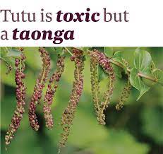 He Aitaka A Tānetutu Is Toxic But A