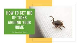 get rid of ticks around