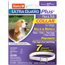 hartz ultraguard plus flea tick